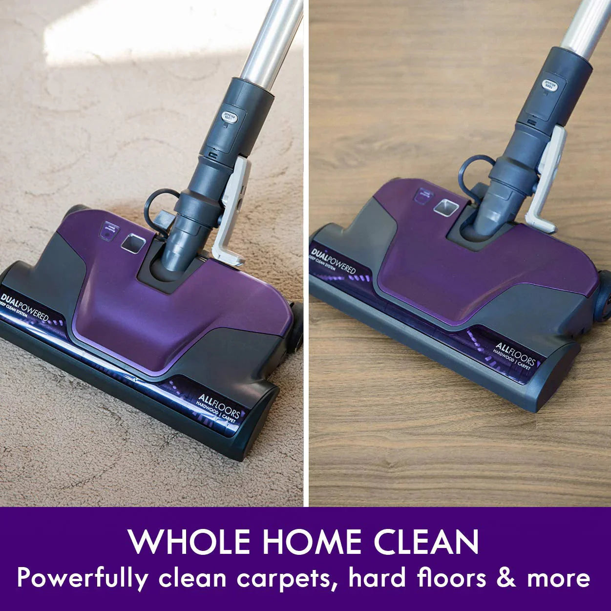Kenmore Pet Friendly Lightweight Bagged Canister Vacuum Cleaner with Extended Telescoping Wand, HEPA, 2 Motors, Retractable Cord, and 4 Cleaning Tools