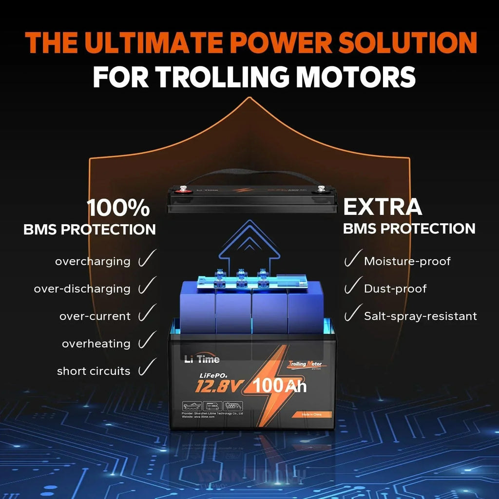 LiTime 12V 100Ah TM LiFePO4 Lithium Battery