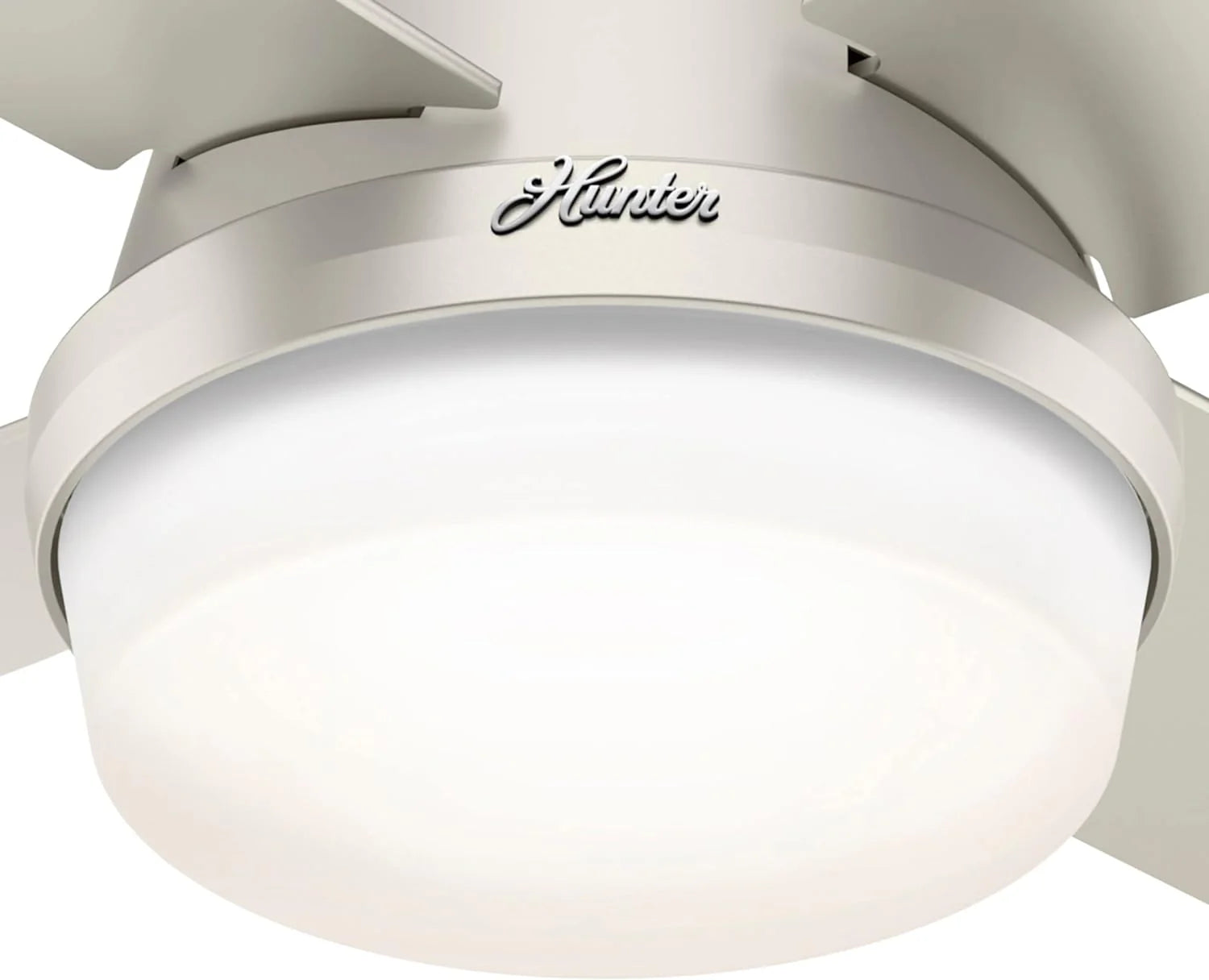 Hunter Fan Company Dempsey Low Profile Indoor / Outdoor Ceiling Fan with LED Light and Remote Control, 44, Matte Nickel