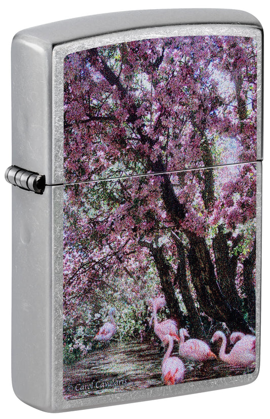 Carol Cavalaris Flamingo Lagoon Design