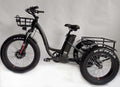 BaFang All Terrain Fat Tire Electric Tricycle, 750W, 23 mph, 55 mile Range