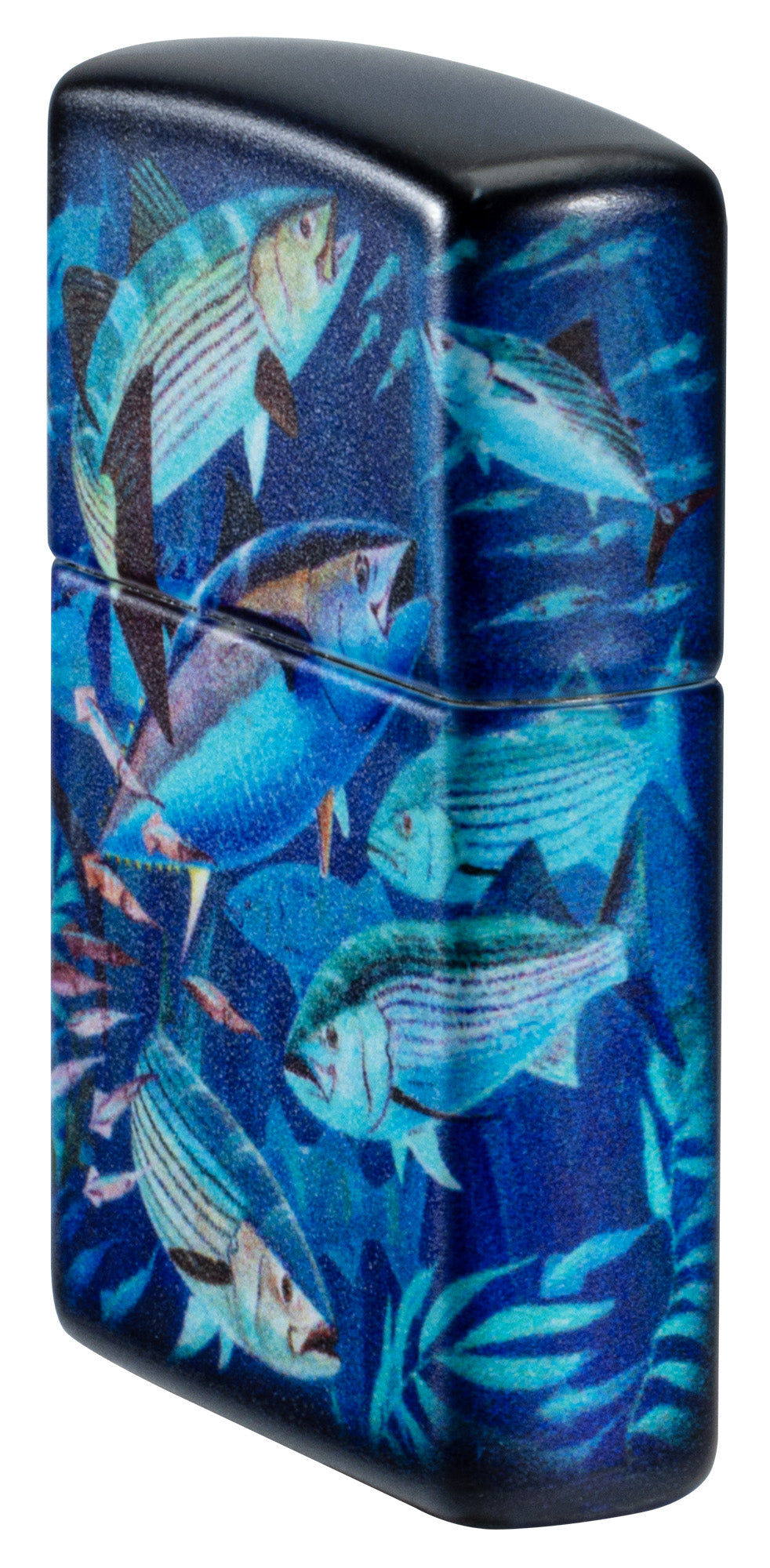 Guy Harvey Fish School Design